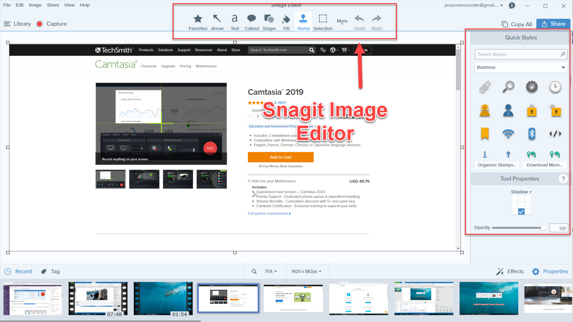 drag snagit icon with web site